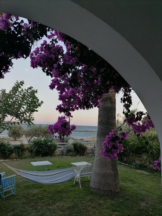 Nikoleta'S Studios Drios Exterior photo